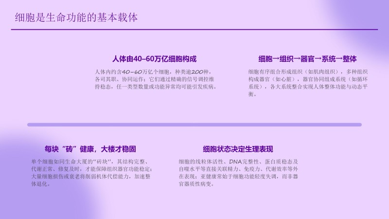 安康工程网课件_31