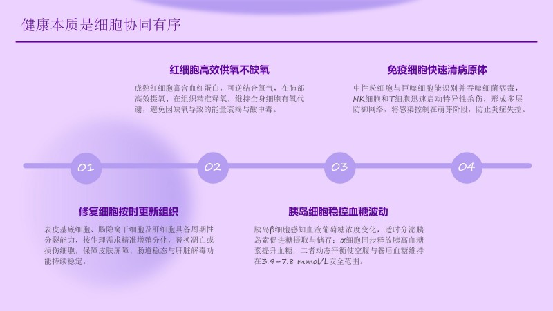 安康工程网课件_32