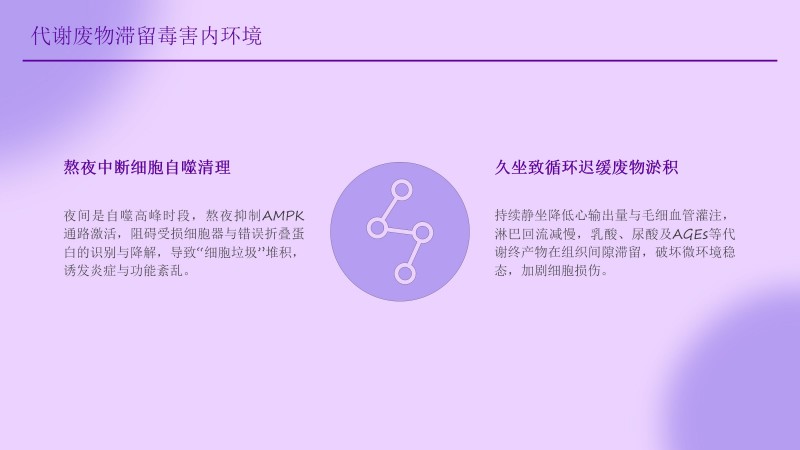 安康工程网课件_35