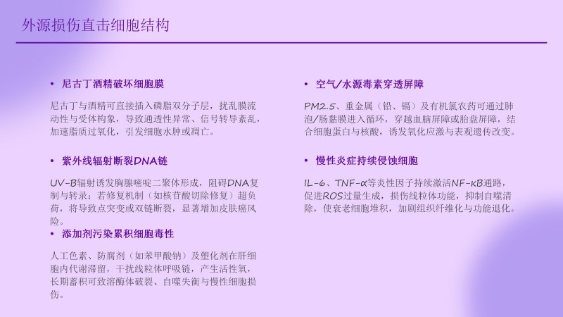 安康工程网课件_36