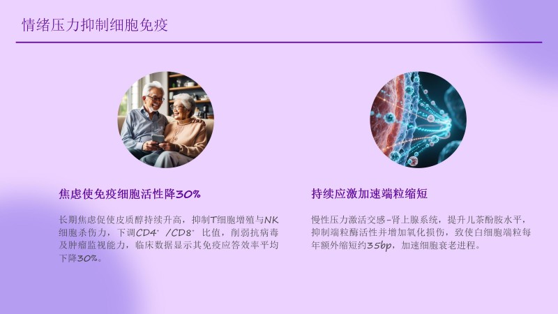 安康工程网课件_37