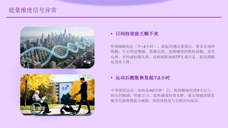 安康工程网课件_39