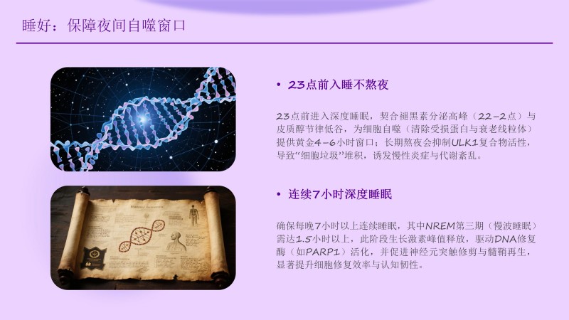 安康工程网课件_46