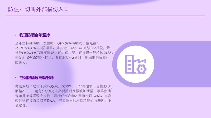 安康工程网课件_48