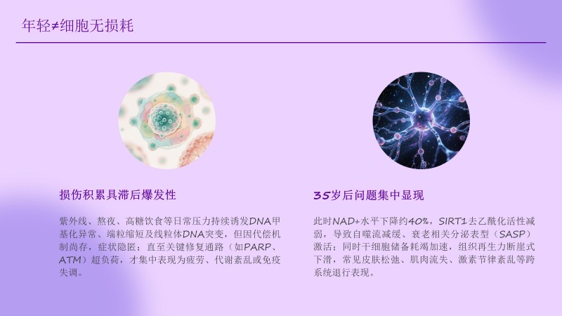 1.聚立同行合作共赢(1)_88