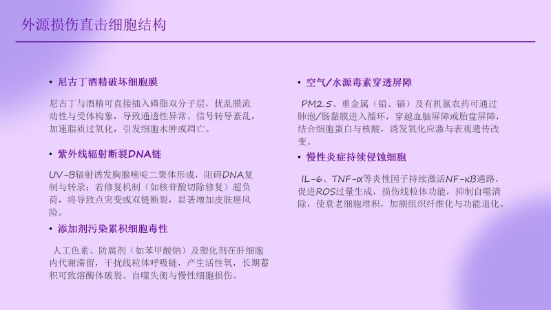 1.聚立同行合作共赢(1)_73