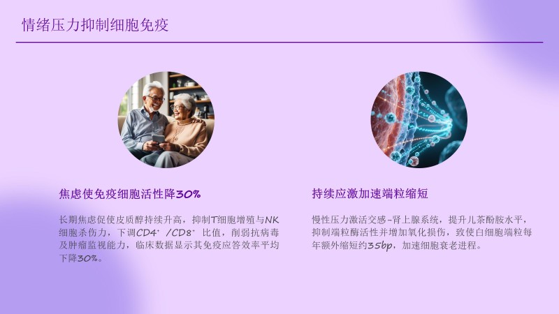 1.聚立同行合作共赢(1)_74