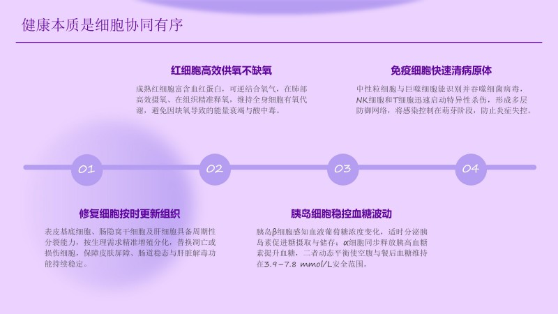 1.聚立同行合作共赢(1)_69