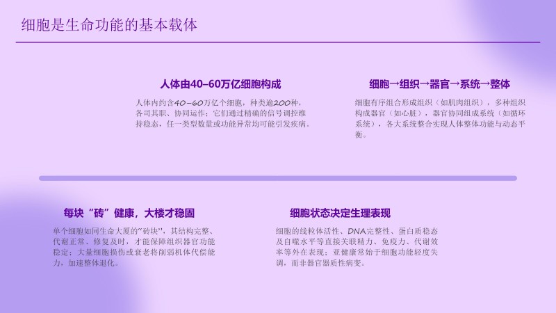 1.聚立同行合作共赢(1)_68
