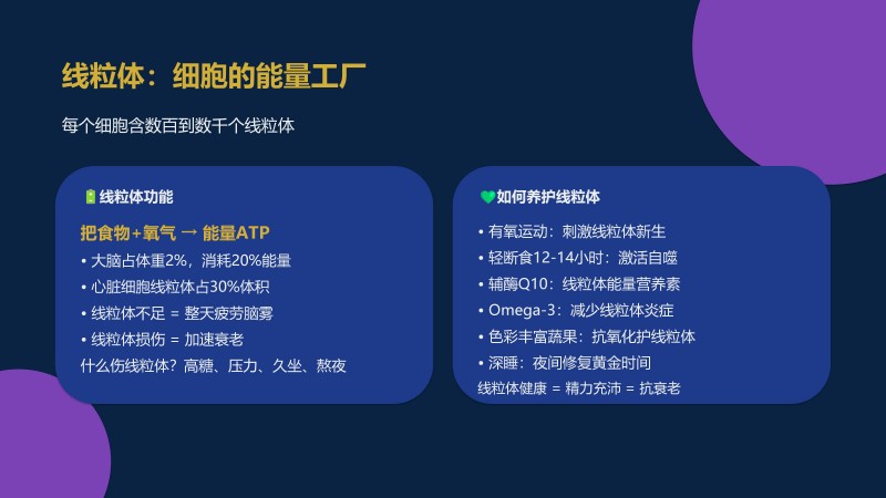 2.御养生命&middot;安康大讲堂_32