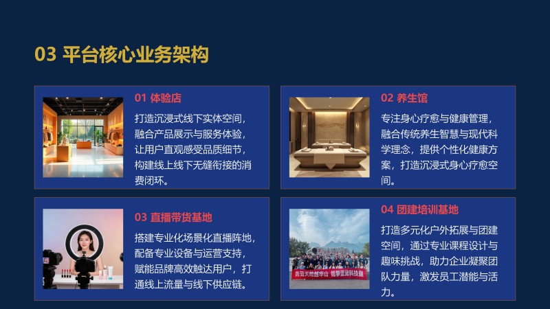 3.共生致远&middot;全球安康产业生态共建计划_29